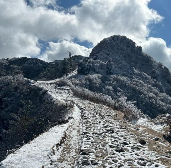 Mountain Trekking